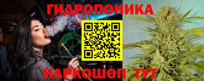 spice Моздок