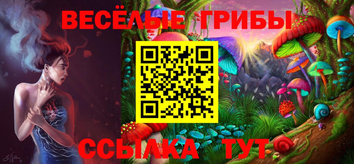 Галлюциногенные грибы Psilocybine cubensis Рузаевка