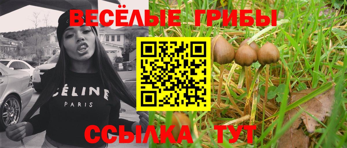 Псилоцибиновые грибы GOLDEN TEACHER  Вход с VPN  Рузаевка  Псилоцибиновые грибы Cubensis 